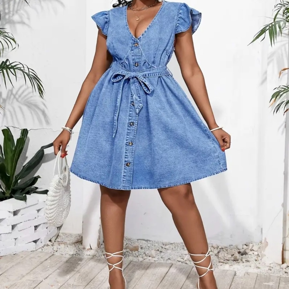 Denim Blue Button-Down Dress 1x